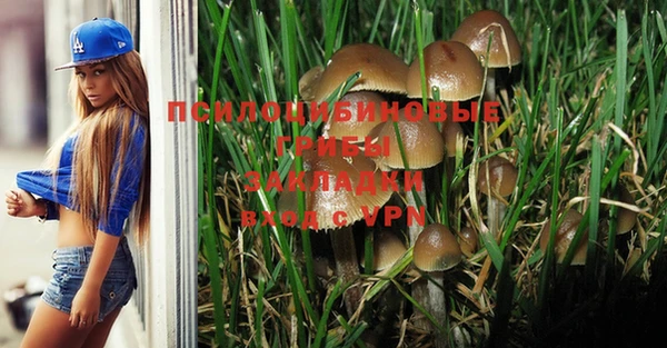 дмт Арсеньев