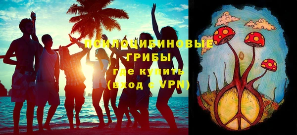 дмт Арсеньев