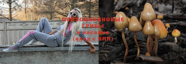 дмт Арсеньев