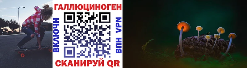 маркетплейс как зайти  Нижняя Тура  Псилоцибиновые грибы Psilocybine cubensis 
